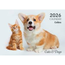 Collins Rosebank Wall Calendar 2026 A4 Cats & Kittens Even Year