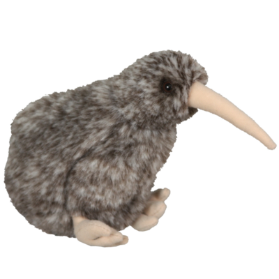 Spotted Kiwi Sound