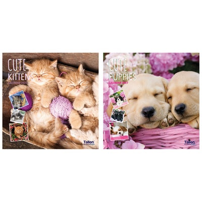 Square Calendar Kittens & Puppies 2027